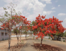 Campus